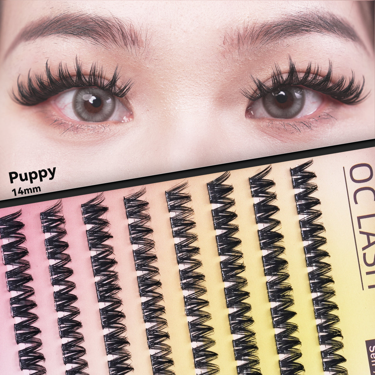 【Puppy】【Pre-Glued】OC LASH Self-Adhesive Puppy Lashes 10-16mm Wispy D-Curly Clusters No Glue Needed Easy Application Reusable Synthetic Fiber Eyelash Extensions